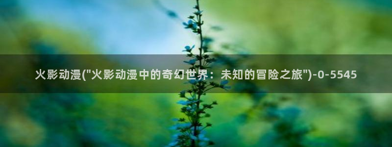 斗罗大陆2绝世唐门动漫免费观看:火影动漫(\